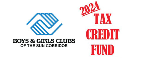 Tax Credit Icon